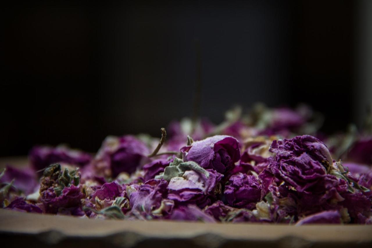 Riad Tama & Spa Ouarzazate Eksteriør bilde