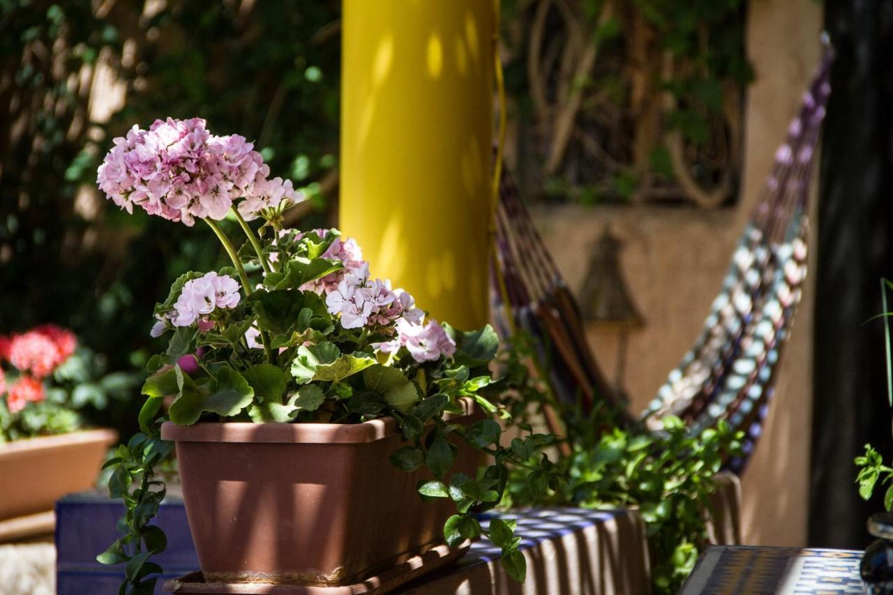 Riad Tama & Spa Ouarzazate Eksteriør bilde